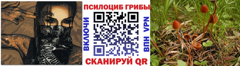 Псилоцибиновые грибы Magic Shrooms  Купить  Духовщина 